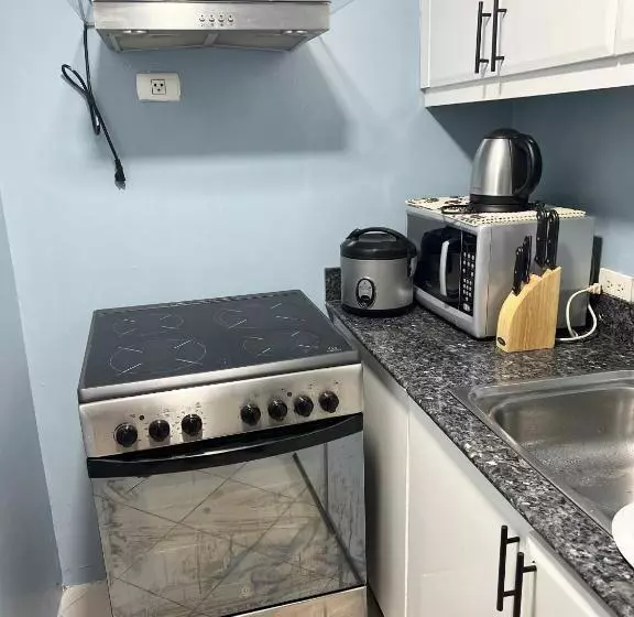 Fort Bonifacio Bgc Condo