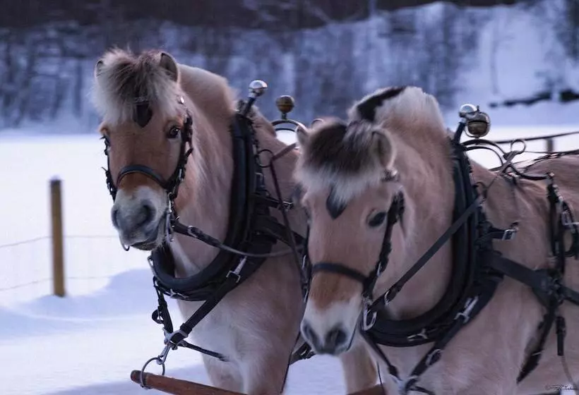 Hotelli Onga Boutique Lodge