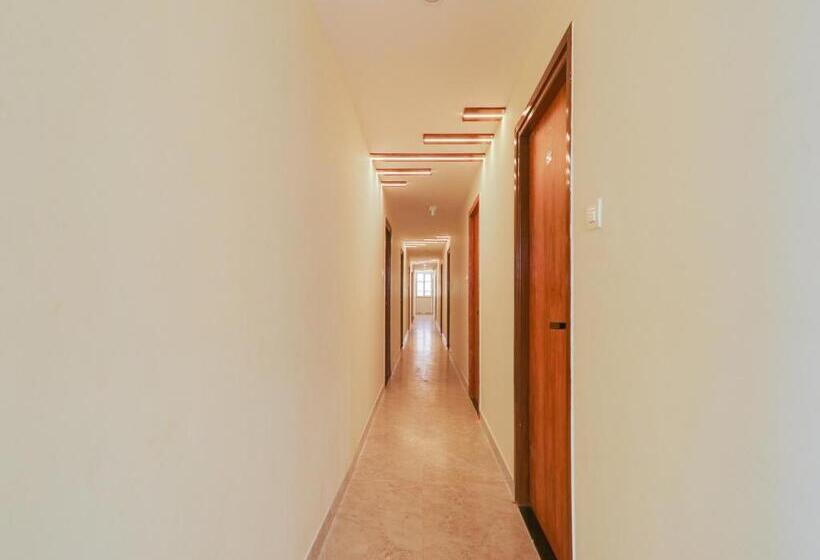 Hotel Collection O Srp Luxurys