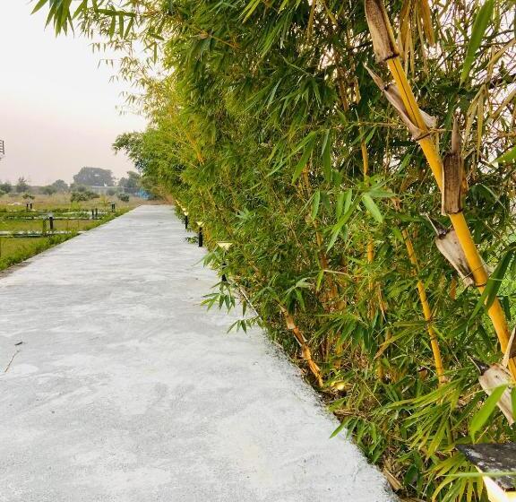 New Corbett Hotel And Resort