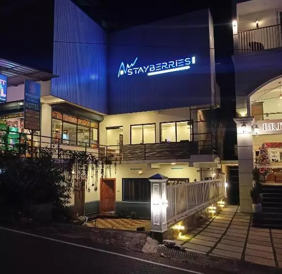 Hotel Silver Munnar
