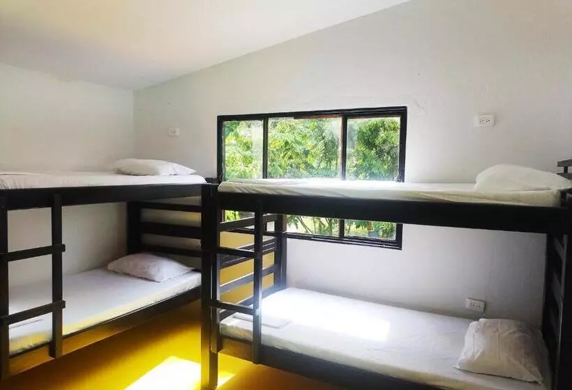 ペンション Amalaya Hostel