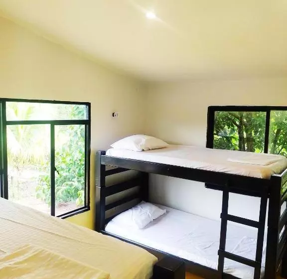 ペンション Amalaya Hostel