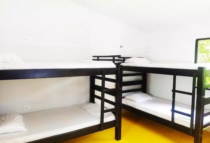 ペンション Amalaya Hostel