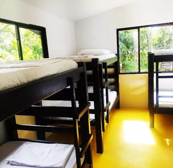 ペンション Amalaya Hostel