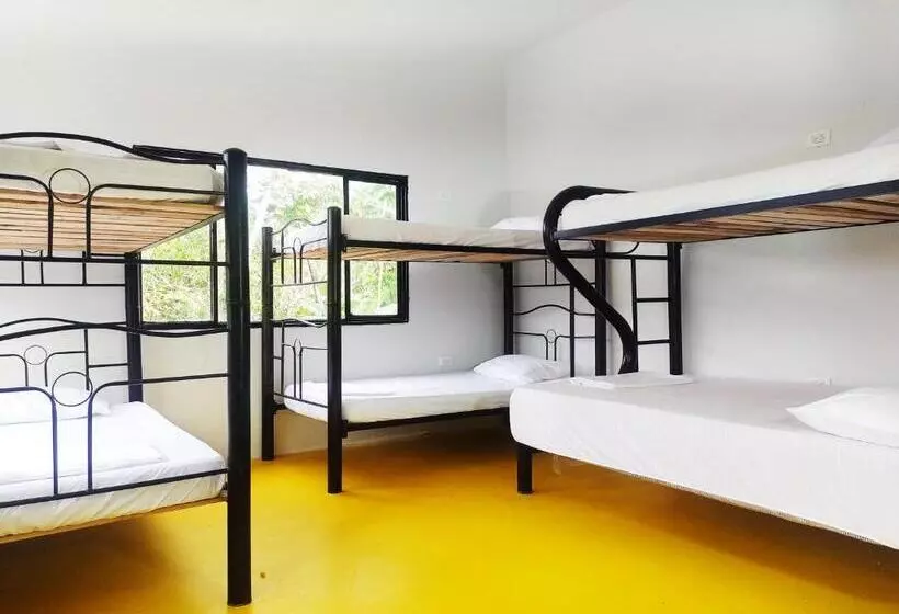 ペンション Amalaya Hostel