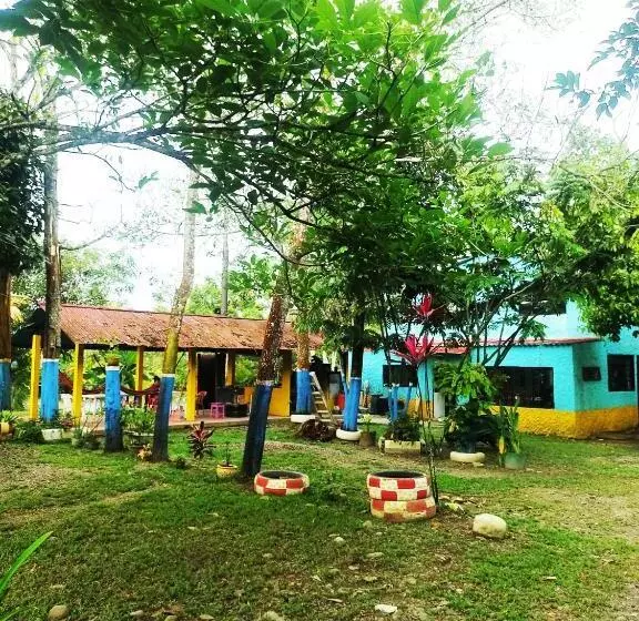 ペンション Amalaya Hostel