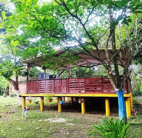 ペンション Amalaya Hostel