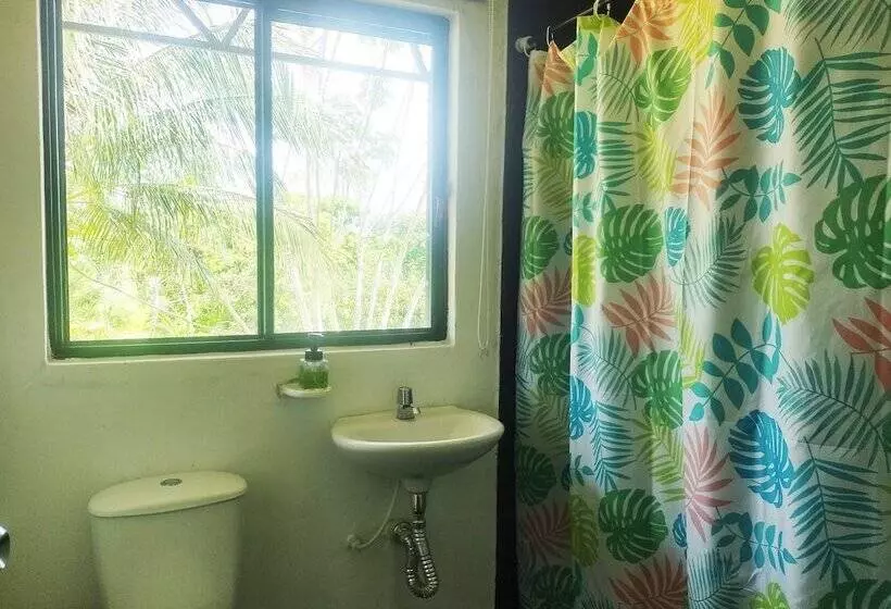 ペンション Amalaya Hostel