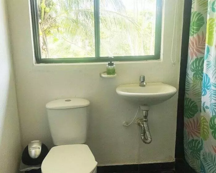 ペンション Amalaya Hostel