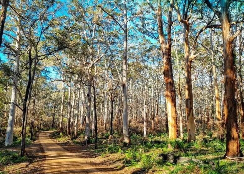 بنسيون Central Gem