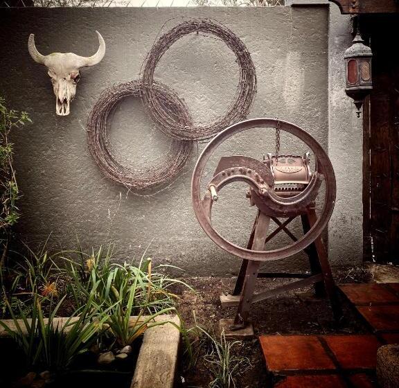 بنسيون De Dapper Huys