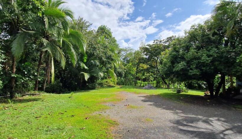 膳宿费 Finca Mamacita