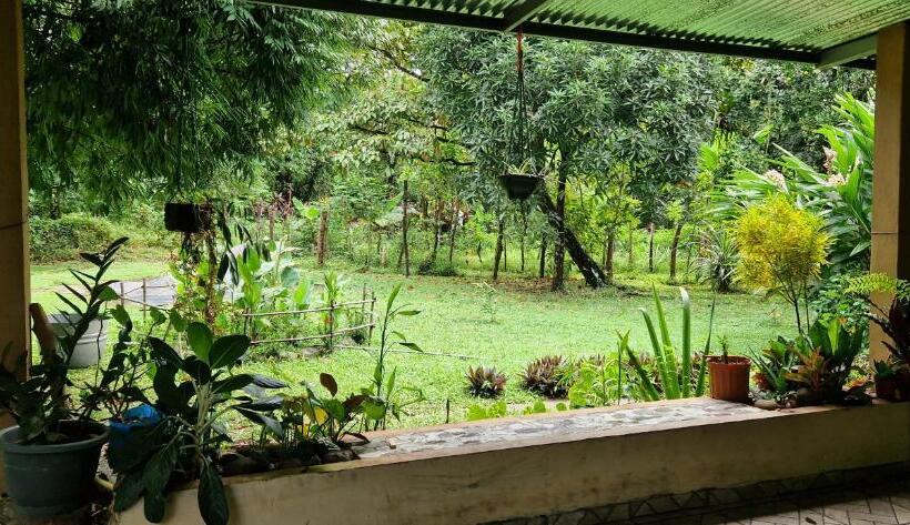 膳宿费 Finca Mamacita