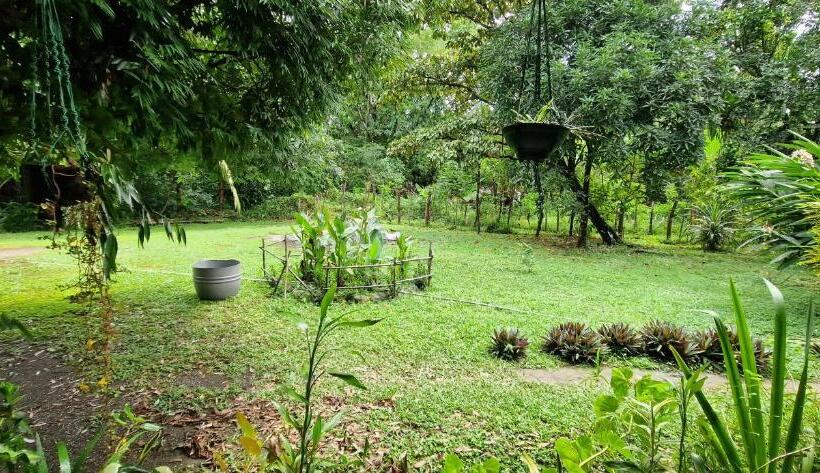 膳宿费 Finca Mamacita