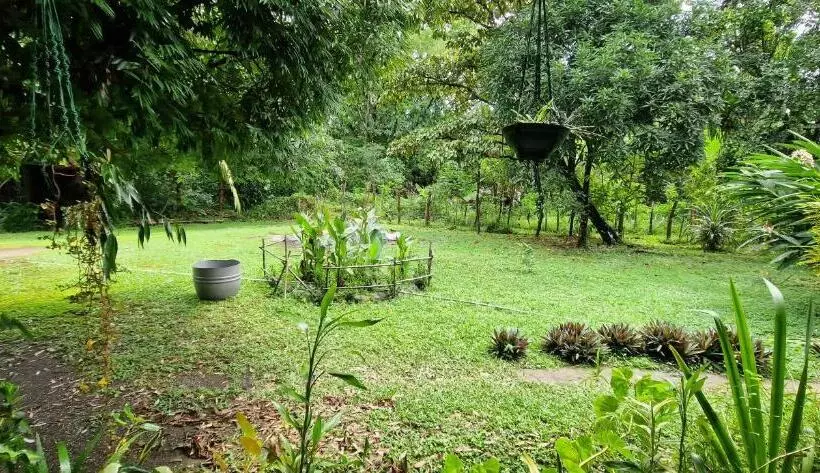 ペンション Finca Mamacita