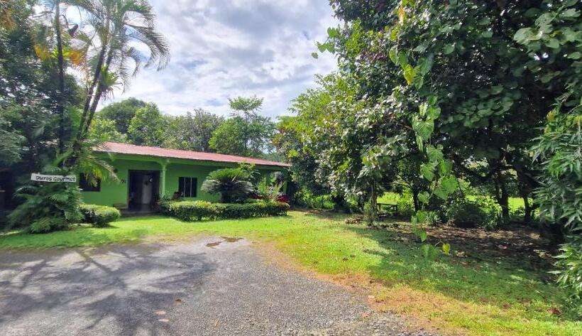 膳宿费 Finca Mamacita