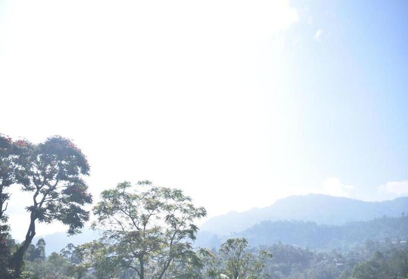 Pensión Little Heaven Guest