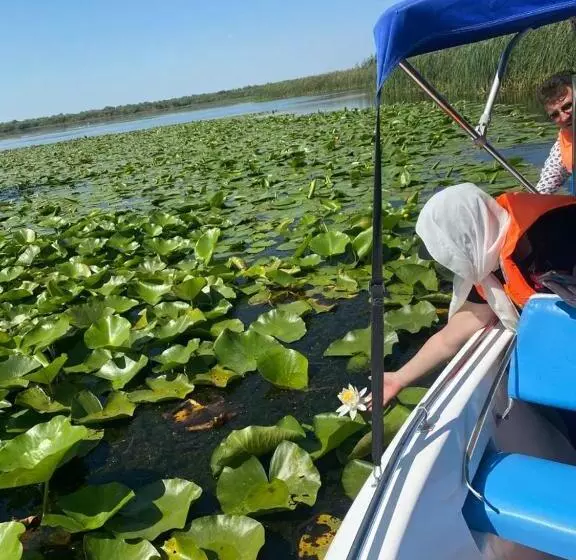 Majatalo Paradiso Resort