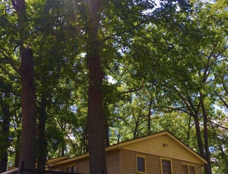 בית מלון כפרי American Oak Resort