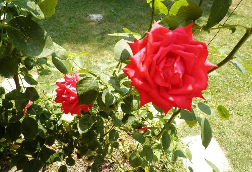 ホテル Appartment Balatongyoeroek