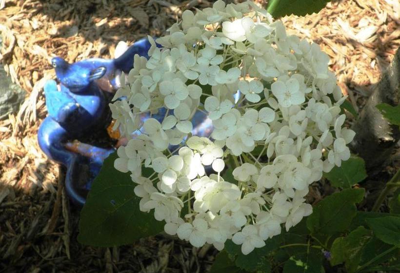 ホテル Appartment Balatongyoeroek