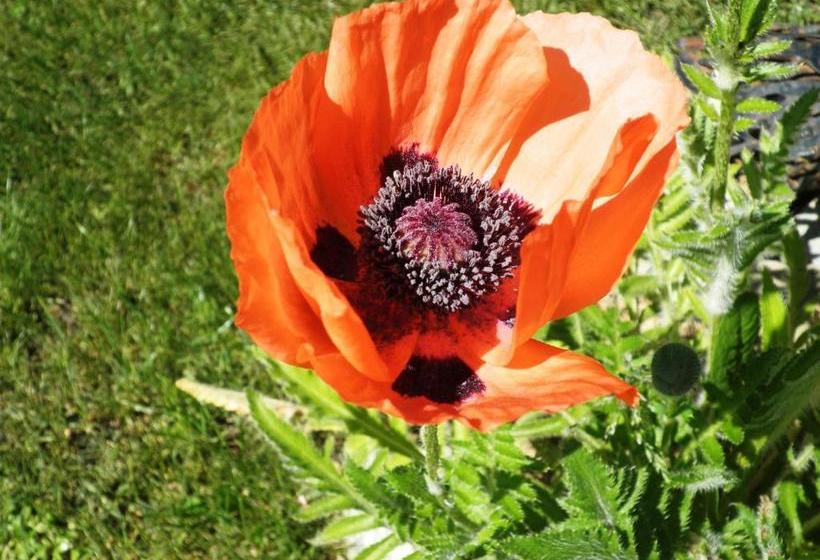 ホテル Appartment Balatongyoeroek