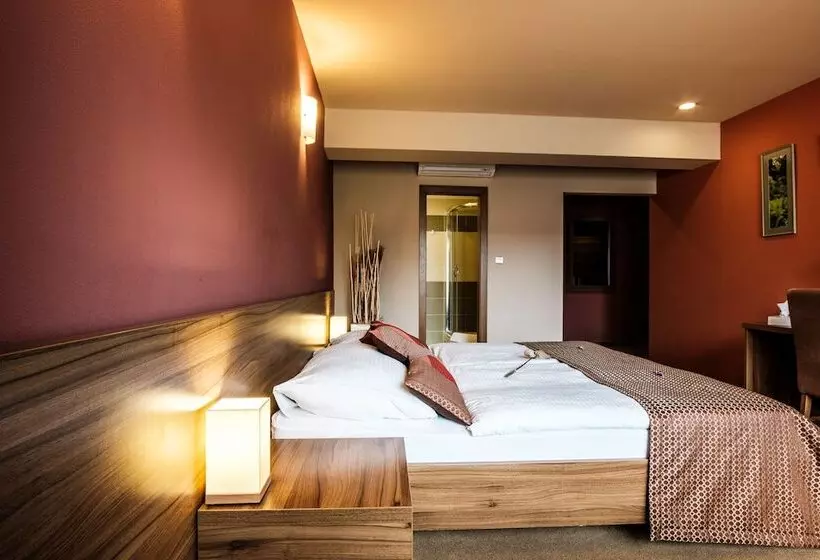 ホテル Comfort With Free Wellness And Fitness Centrum