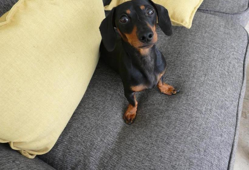 בית מלון כפרי Laluxe