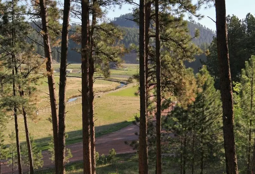 ホテル Mountain View Lodge & Cabins