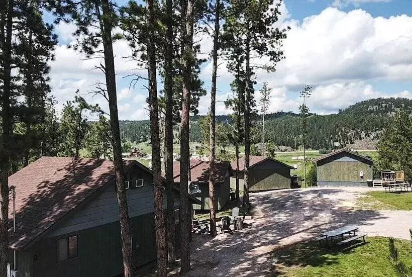 ホテル Mountain View Lodge & Cabins