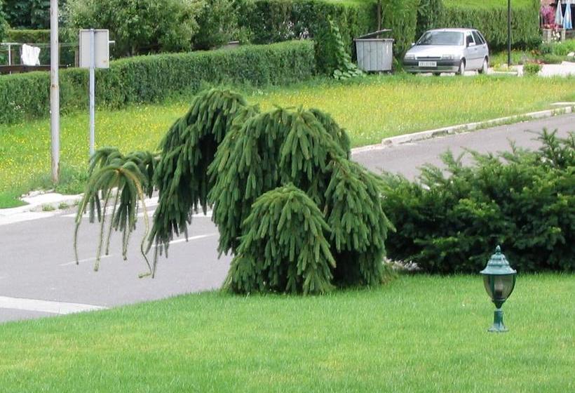 هتل Penzion Livada