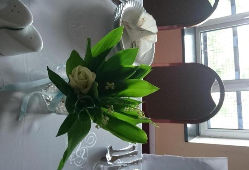 בית מלון כפרי Plock