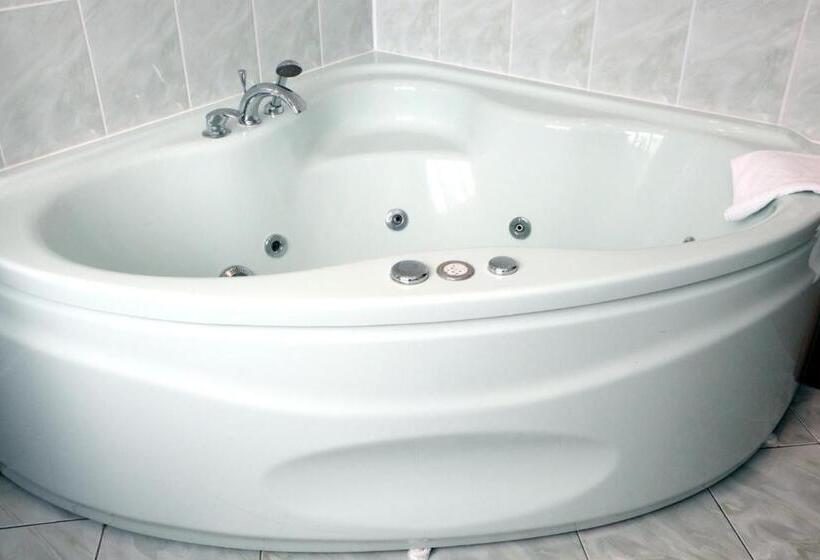 בית מלון כפרי Plock