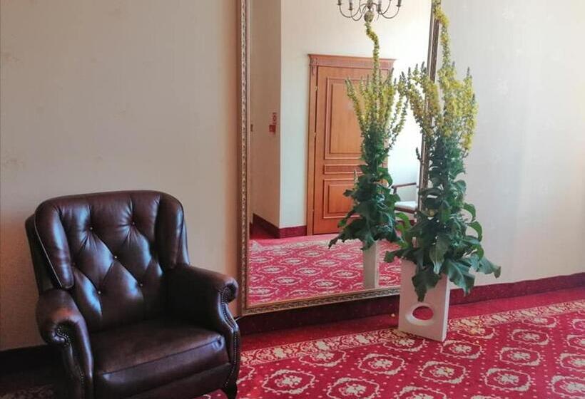 בית מלון כפרי Plock