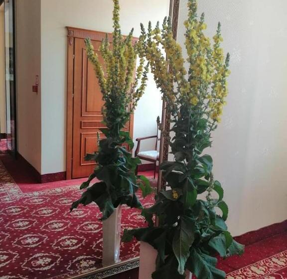 בית מלון כפרי Plock