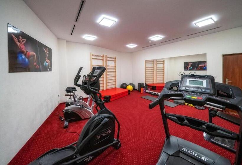 בית מלון כפרי Tatra