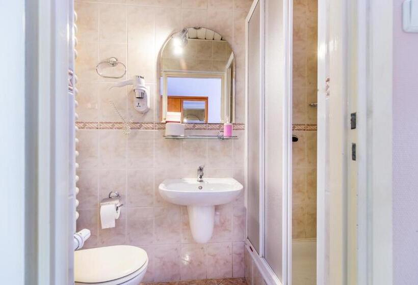 בית מלון כפרי Willa Excelsior