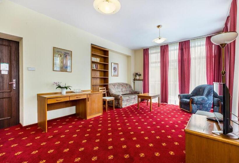 בית מלון כפרי Willa Excelsior