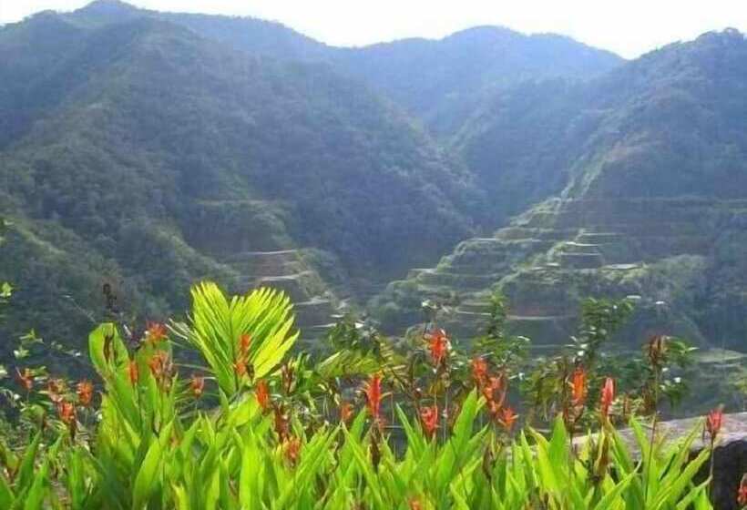 بنسيون Native Village Inn