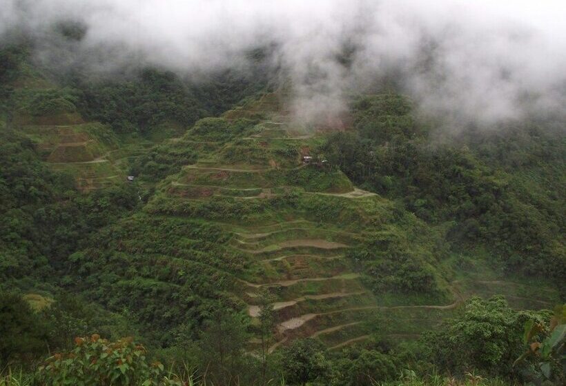 بنسيون Native Village Inn