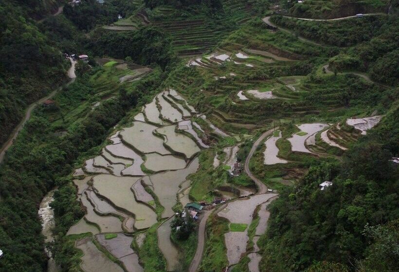 بنسيون Native Village Inn