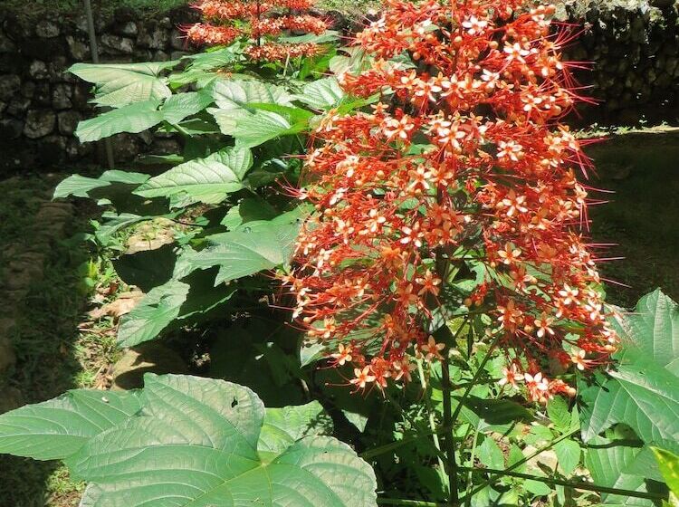 بنسيون Native Village Inn