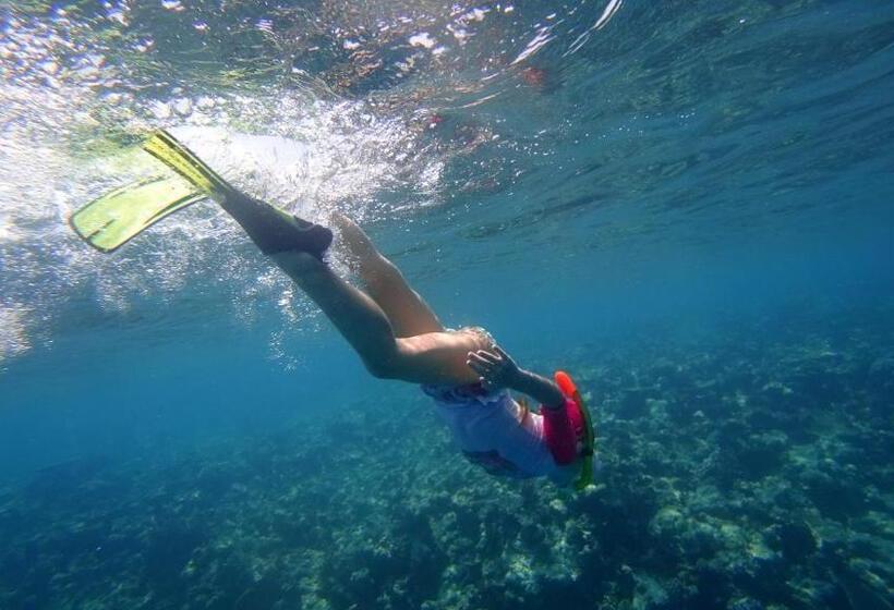 Pensão Season Paradise