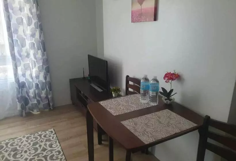 Bacolod Mesavirre Condo