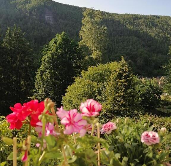 住宿加早餐 Chez Many, Par Fred Et Henri