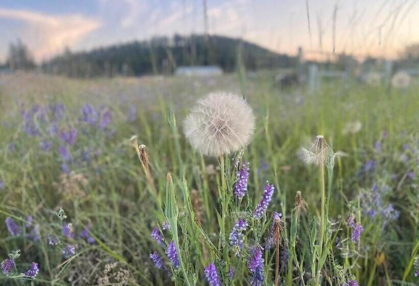Hotel Authentic Barn Bnb