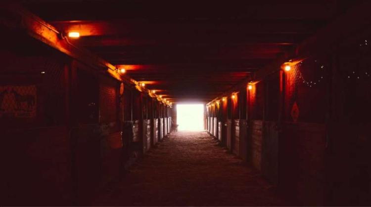 Hotel Authentic Barn Bnb