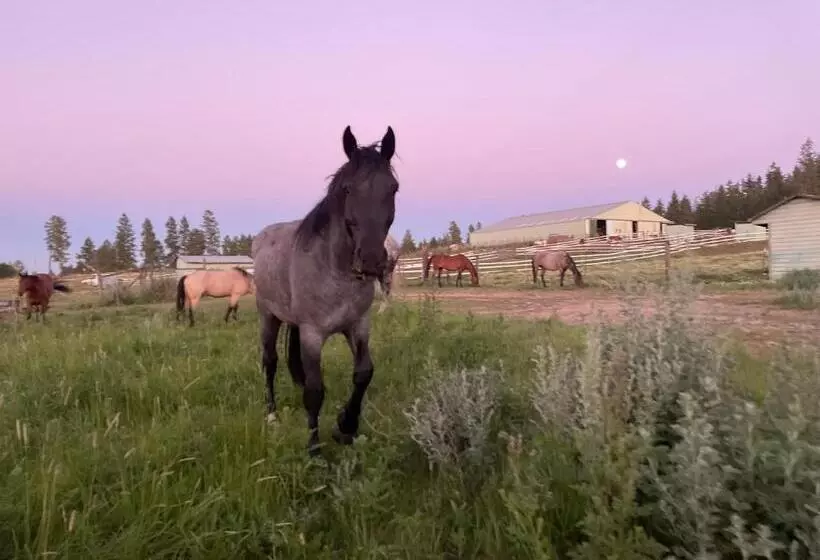 Hotelli Authentic Barn Bnb