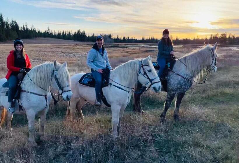 Hotel Authentic Barn Bnb